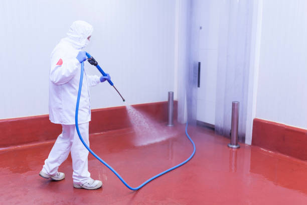 Best House Exterior Washing  in Andrews, SC